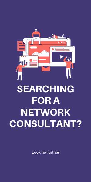 Network consultant